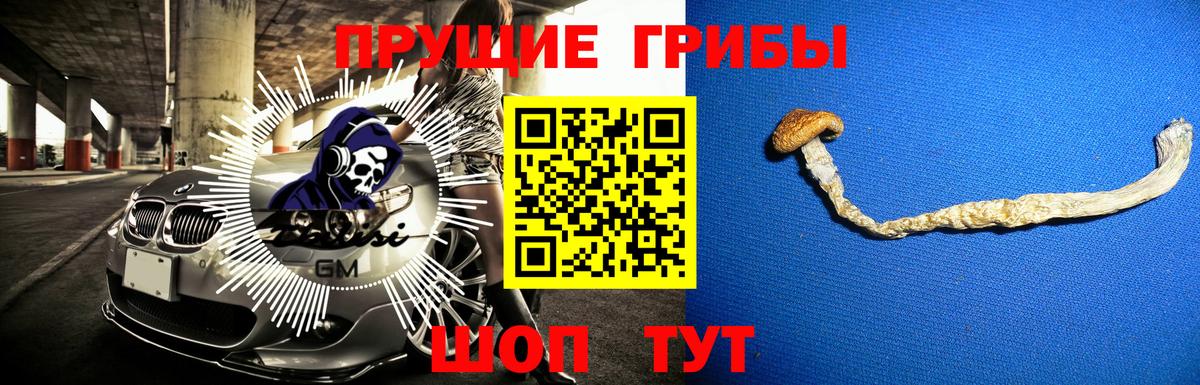 Псилоцибиновые грибы Psilocybine cubensis  Вход с VPN  Асбест 